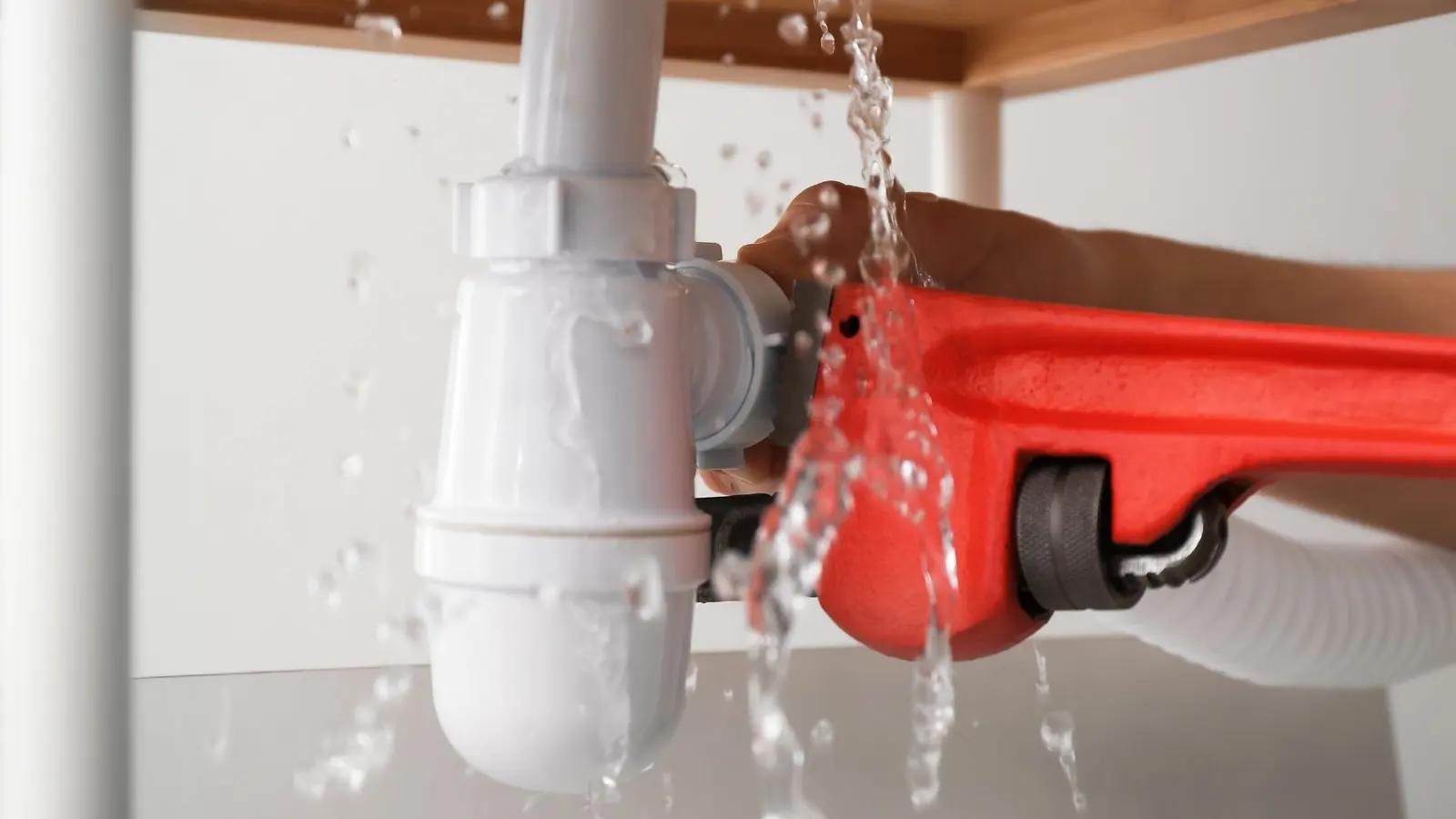 Drain cleaning and sewer diagnostics in Parma OH